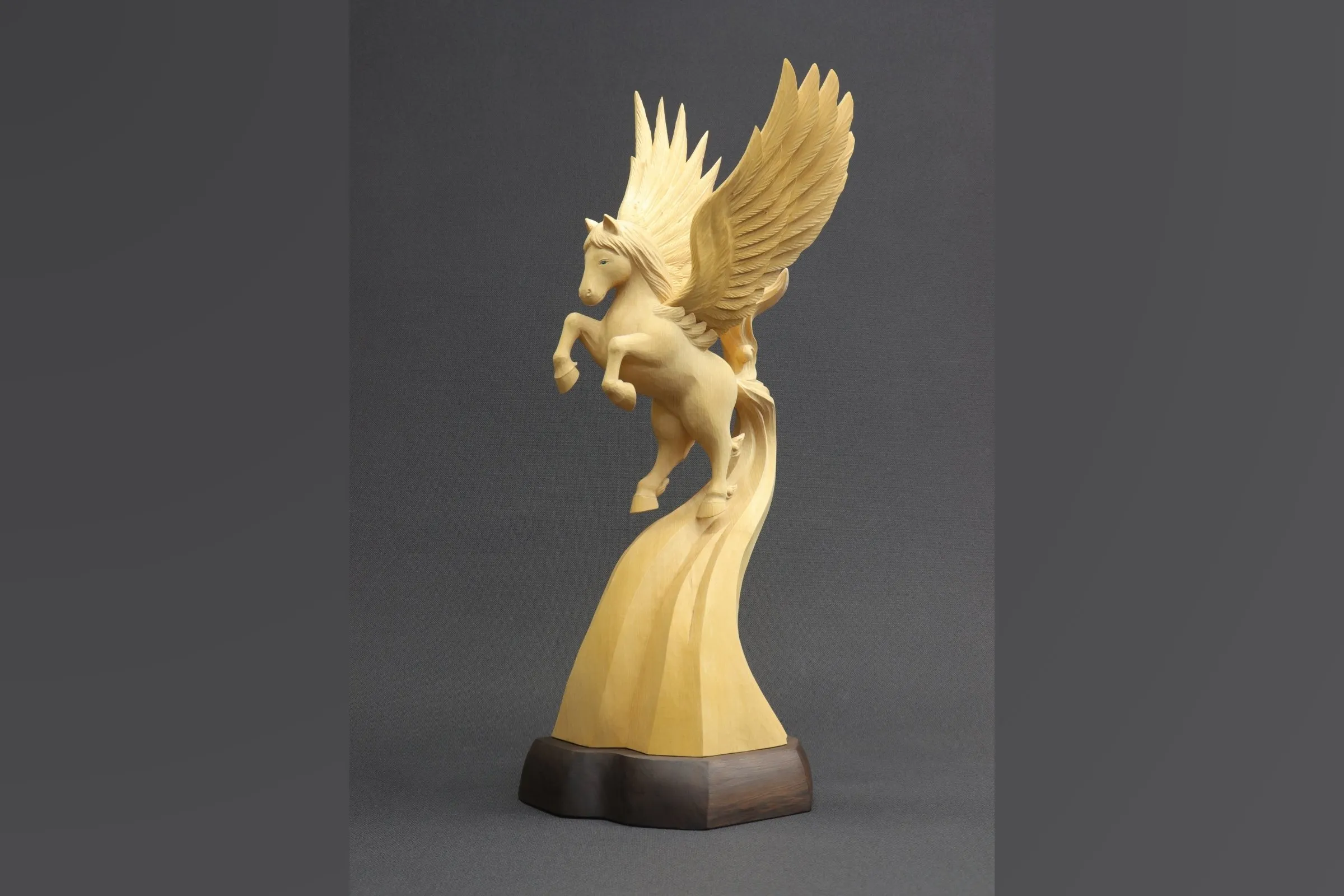 山根清_天翔る(あまかける)