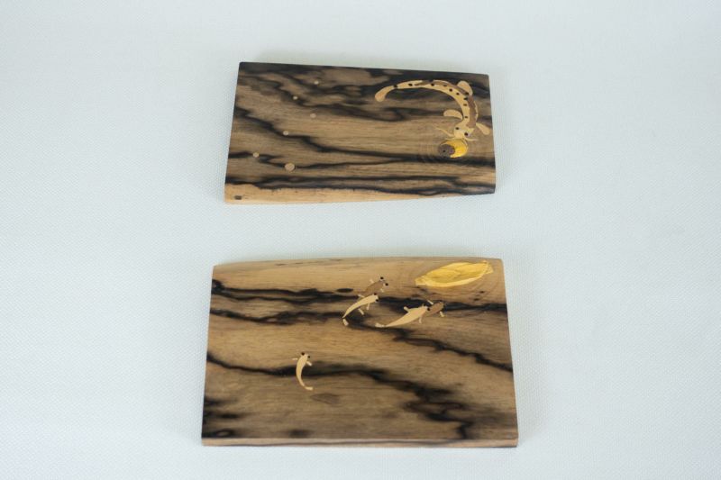 辻海雄_どじょうとめだか
